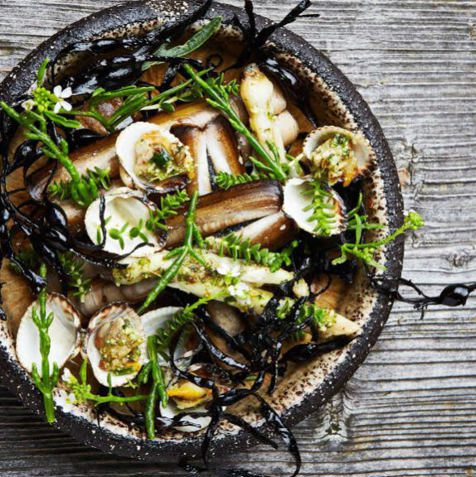 Muslinger Tellustilrettet